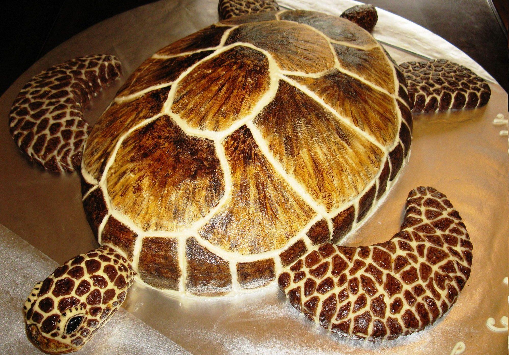 Домашний торт черепаха со сметанным кремом